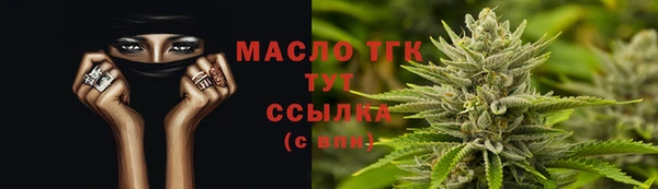 шишки Верхний Тагил